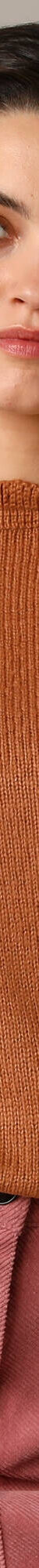 Pull col montant, finition frisotti (caramel) Pull col montant, finition frisotti (caramel)